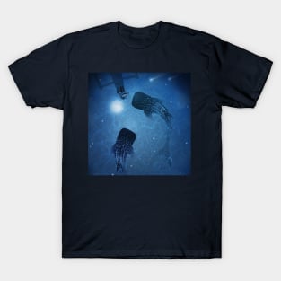 The Serenade T-Shirt